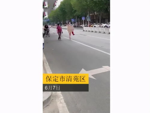 辣眼睛 河北街头女子走猫步,越走衣服越少