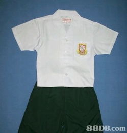 2020最新127个有关校服式样之价格及商户联络资讯 hk 88db.com